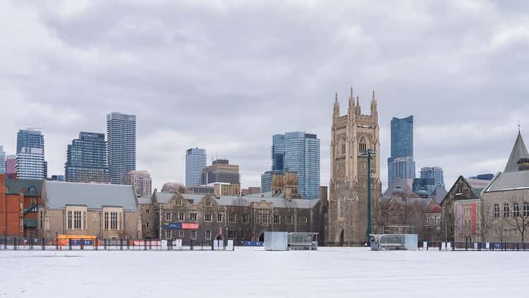 The tower of Soldiers' Tower and old college buildings at the University of Toronto, with a snowy field in front